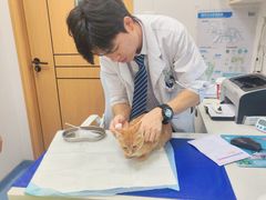 -博特宠物医院24h犬猫全科.骨科·异宠