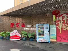 -陈家山荷花公园