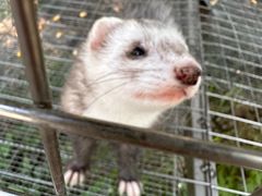 -水上乐园·欢乐世界