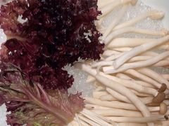 -南门四季铜锅涮肉(大屯·北苑店)