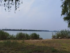 -漕湖湿地公园