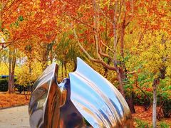 -廊坊文化艺术中心