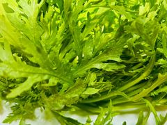 -皇城老妈·大连海鲜火锅(港湾店)