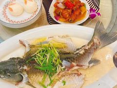 -御膳粥·牛乳粥底火锅·地道顺德菜(容桂店)