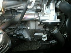 -上海中医药大学附属市中医医院-停车场