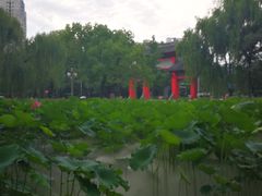 -四川大学(望江校区)