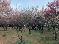 -蜀冈西峰生态公园