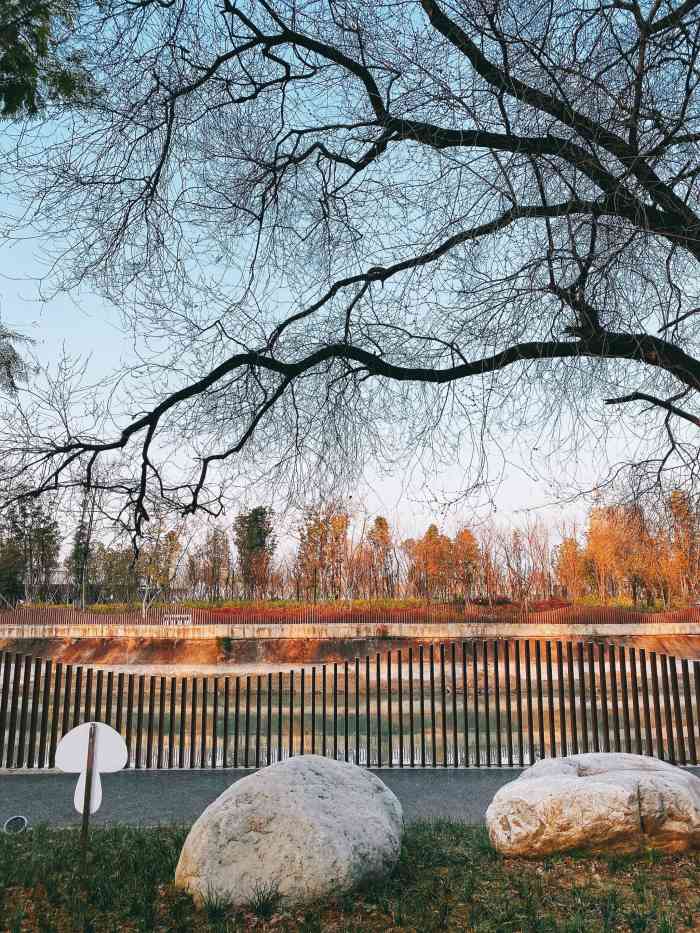 东风渠绿道公园-"还不错的一个公园,现在成都是公园城市,公.