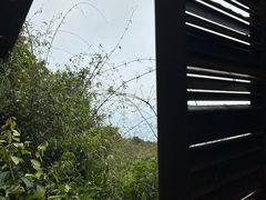 -亚龙湾热带天堂森林公园