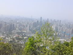 -南山植物园