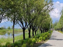 -野鸭湖国家湿地公园