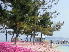 -悦海公园