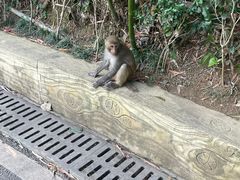-黔灵山公园