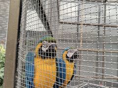 -南宫五洲植物乐园