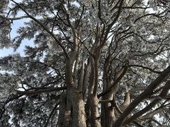 -终南山南五台景区