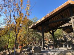 -阳台山自然风景区