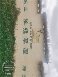 -纳帕海依拉草原