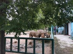 -秦皇岛野生动物园