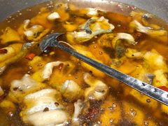 -雲蜀龙阁·金牌水煮鱼(方庄店)