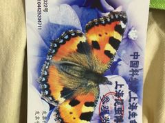 -上海昆虫博物馆