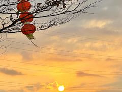 -长洲岛