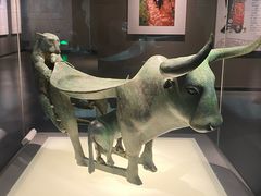 -云南省博物馆