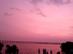 -宝安西湾红树林湿地公园