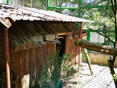 -藏龙百瀑风景区