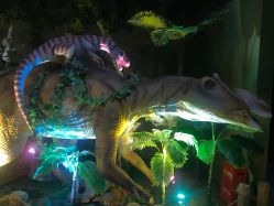 -恐龙探索乐园(磁器口店)