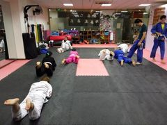 -金翼跆拳道巴西柔术拳击格斗学院