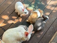 -HERRE·FARM 赫尔露营农场·团建聚会包场