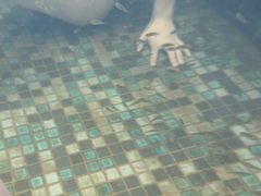 -长白山聚龙火山温泉