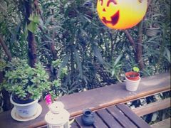 冬天很冷耶…-南京夫子庙国际青年旅舍(平江府路店)