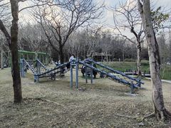 -森波拉奇妙世界