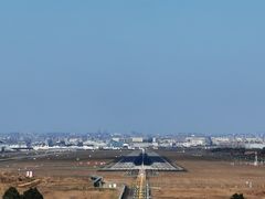 -空港花田景区