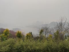 -金海湾滨江公园