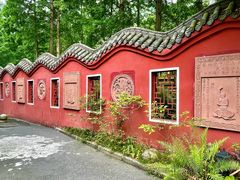 -青城山