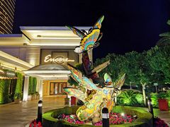 -拉斯维加斯永利酒店