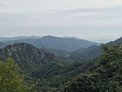-大岭沟猕猴桃谷风景区