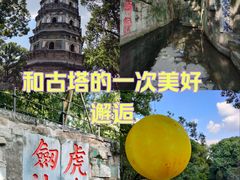 -虎丘山风景名胜区