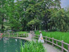 -成都市活水公园