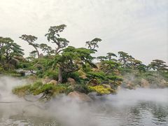 -罗红摄影艺术馆