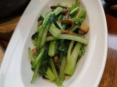 草菇焗菜心-北京老铺烤鸭(老城根店)