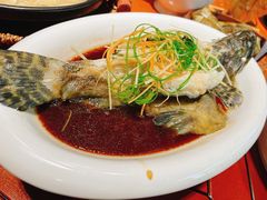 清蒸石斑鱼-农厨好味·温泉鹅·农家菜