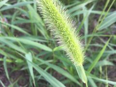 -汉长安城未央宫国家考古遗址公园