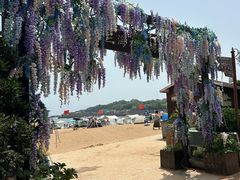 -青岛第三海水浴场