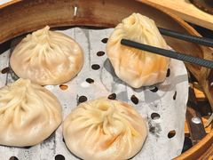 -莱莱小笼·乔艾