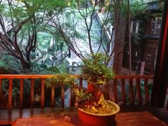 -鱼桥巷·美学川菜