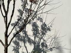 -茅家埠