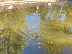 -酷鱼垂钓CLUB(朝阳区博大路店 )